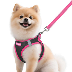 Harnais Rabbitgoo pour chien petit, noir et rose, respirant et confortable.