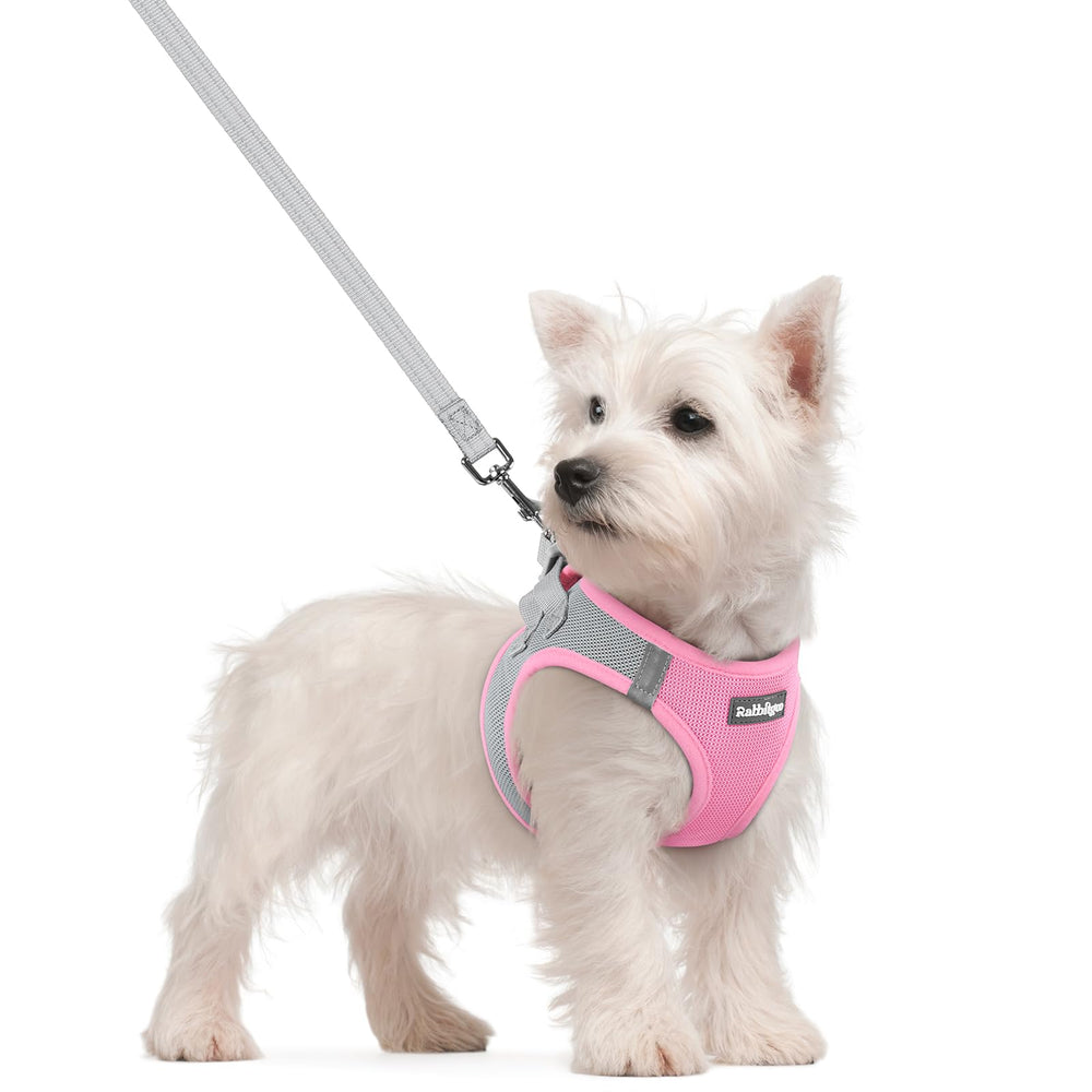 Harnais Rabbitgoo pour petit chien, rose et gris, ensemble confortable pour promenades.