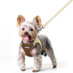Harnais Rabbitgoo pose-dentree, enfilage rapide pour petits chiens.