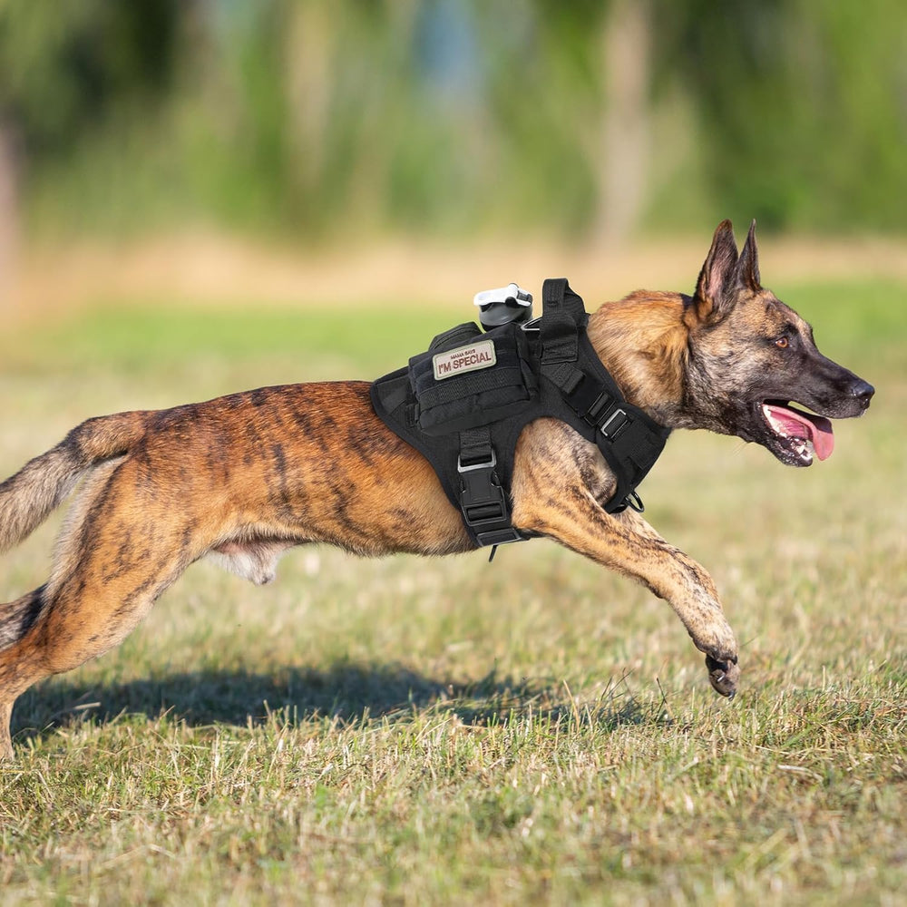 Harnais rabbitgoo-harnais-chien-protection-rembourrage, confort renforcé pendant l'activité active.