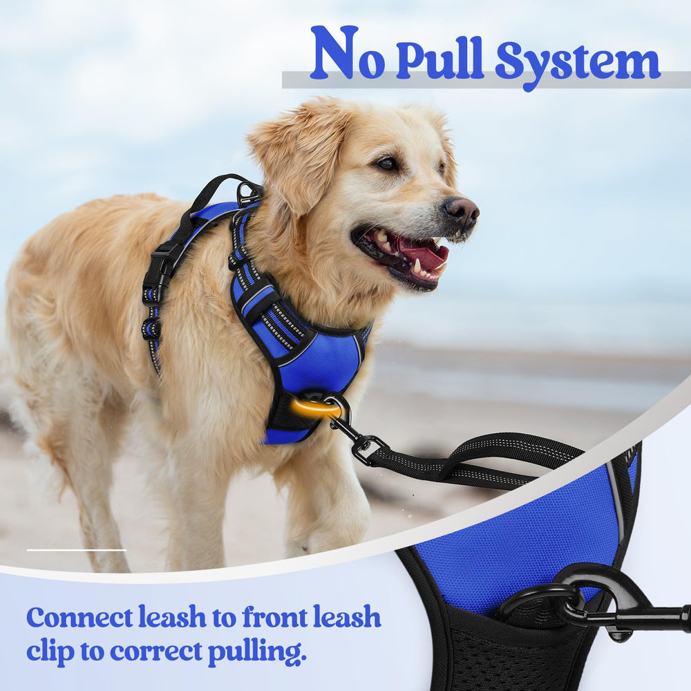 Rabbitgoo harnais rembourré en mesh, confort et ventilation pour chien.