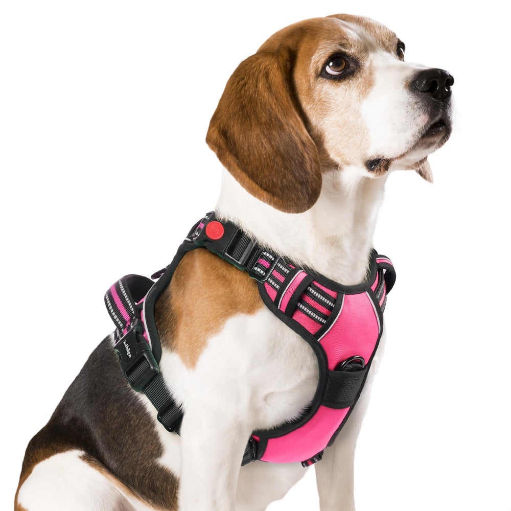 Harnais Rabbitgoo rose moyen – vue avant, confort ajustable pour promenades quotidiennes.