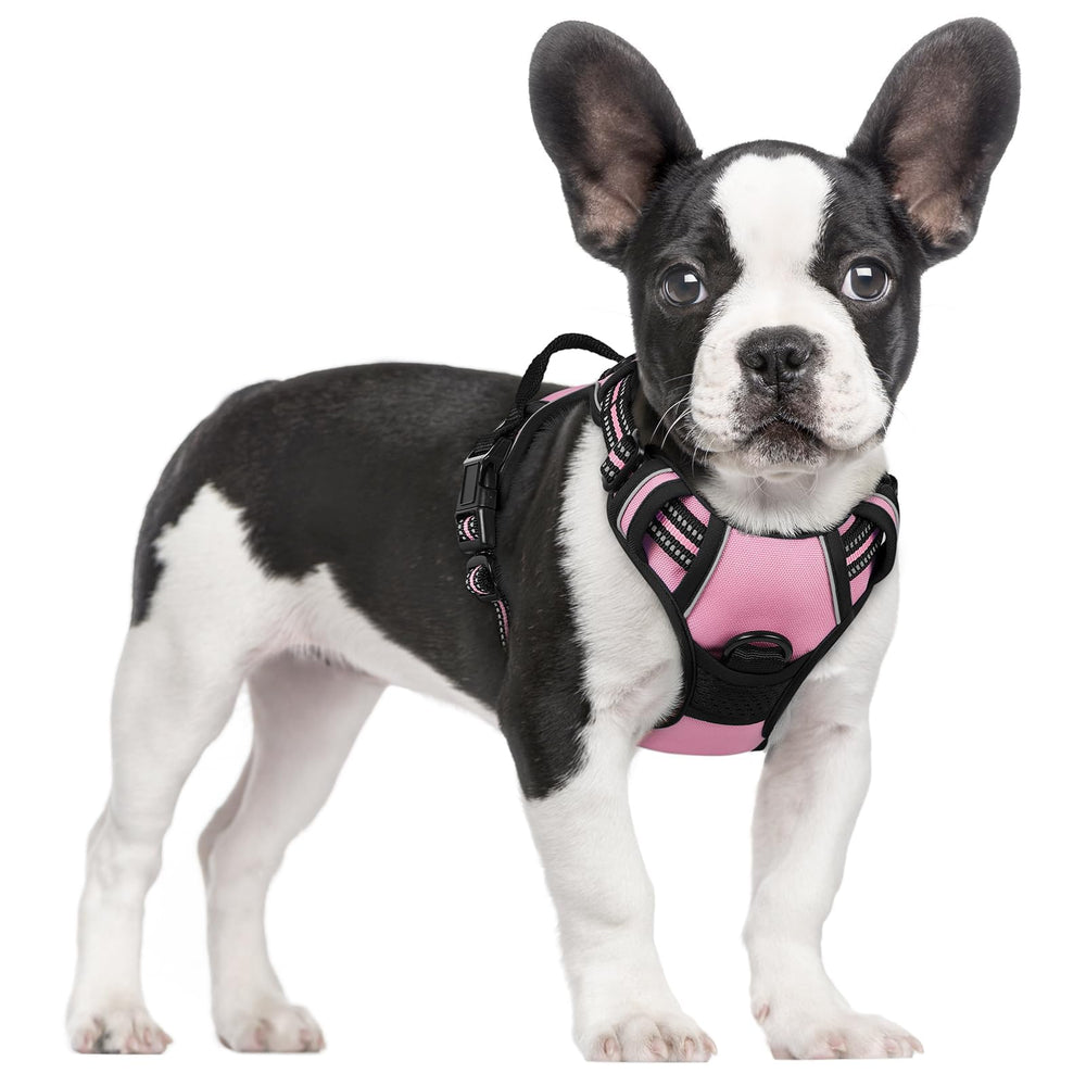 Harnais Rabbitgoo sans tirage rose taille S, confort et sécurité lors des promenades.