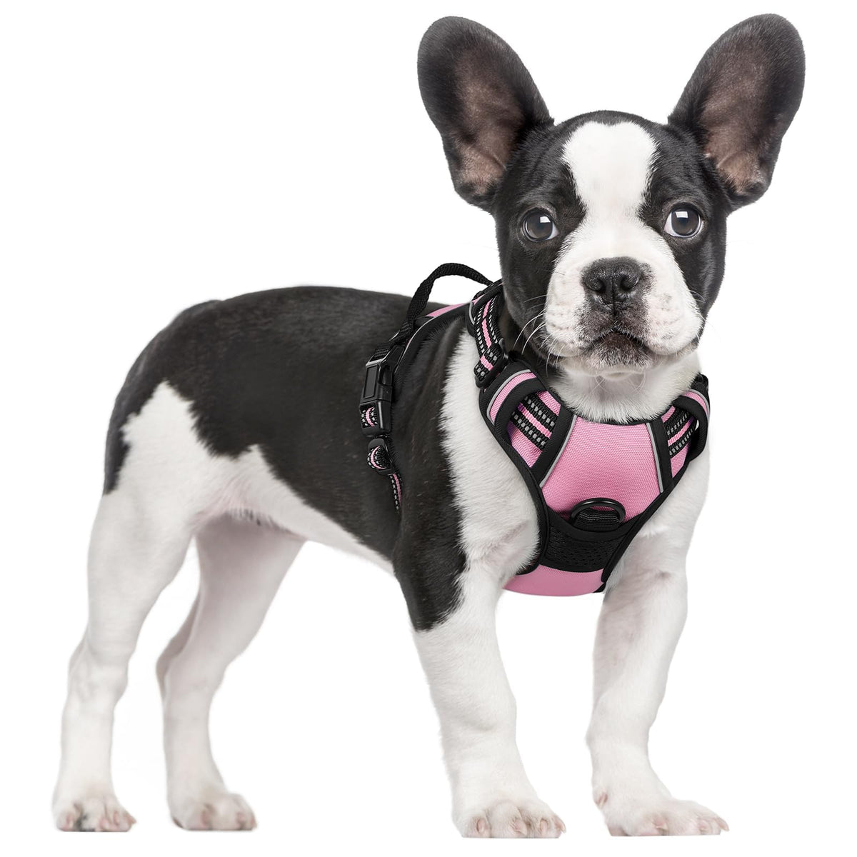 Harnais Rabbitgoo sans tirage rose taille S, confort et sécurité lors des promenades.