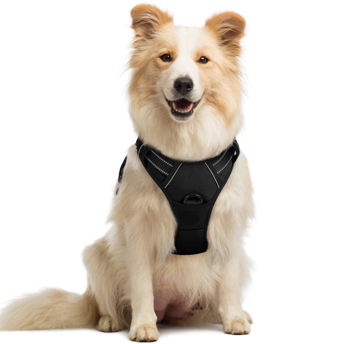 Harnais rabbitgoo sans-tirage pour chien, promenade plus maîtrisée et confortable.