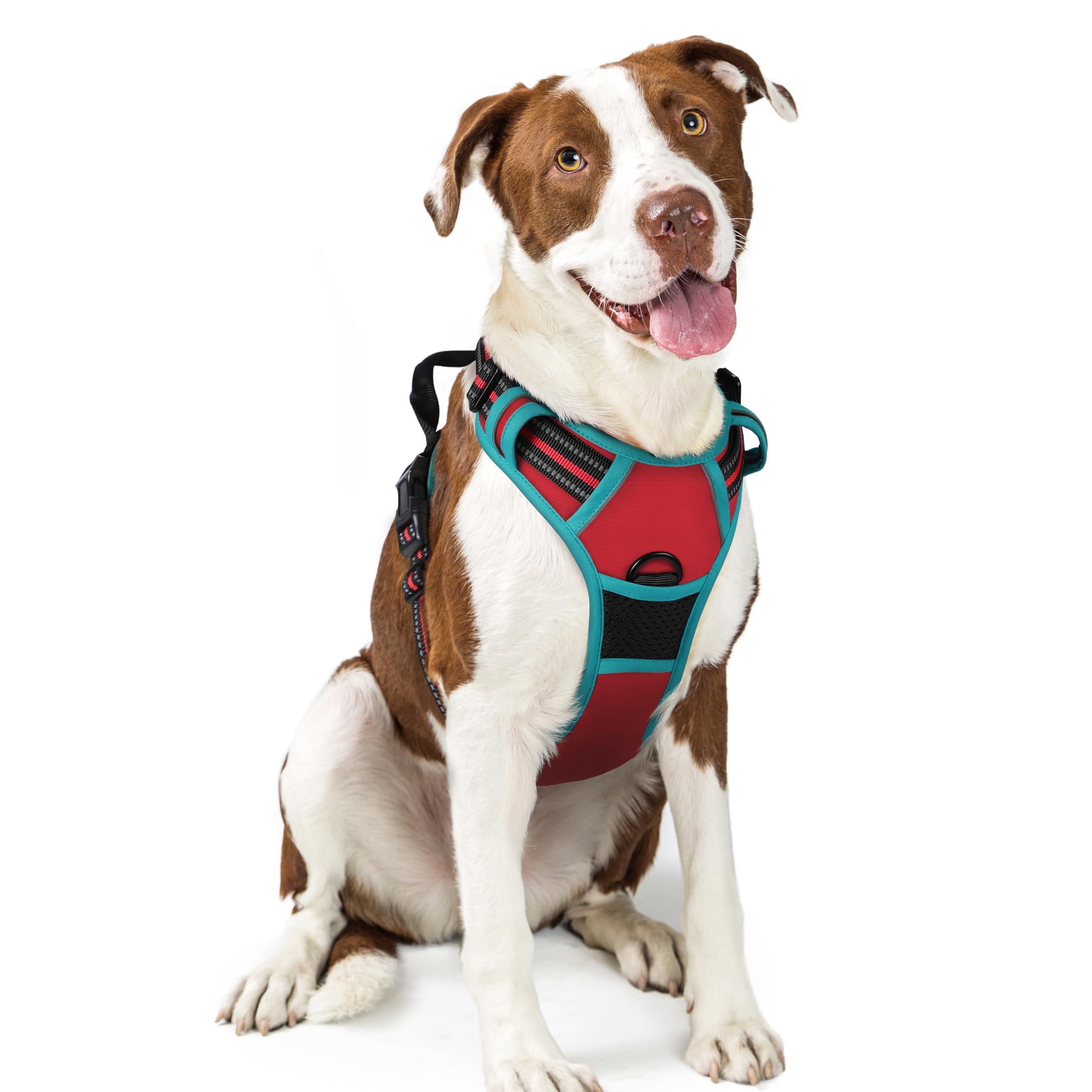 Harnais rabbitgoo pour chien sans traction, rouge et teal, confort quotidien.
