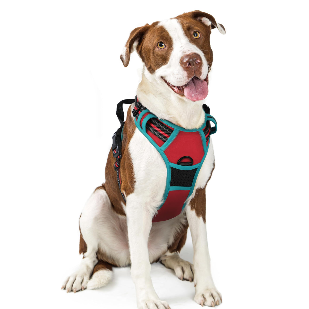 Harnais rabbitgoo pour chien sans traction, rouge et teal, confort quotidien.