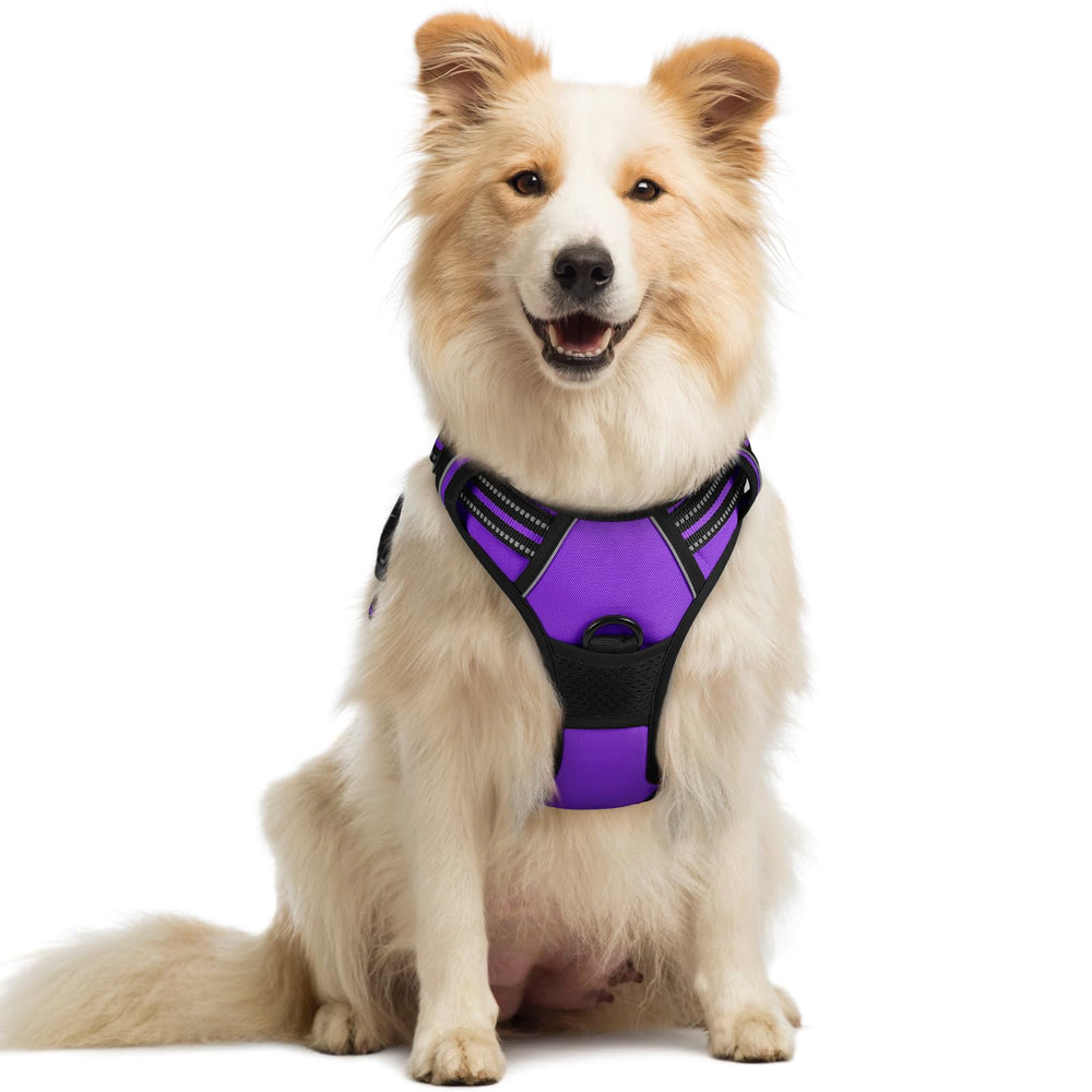 Harnais Rabbitgoo violet sans tirage avec 2 attaches pour promenades sûres.