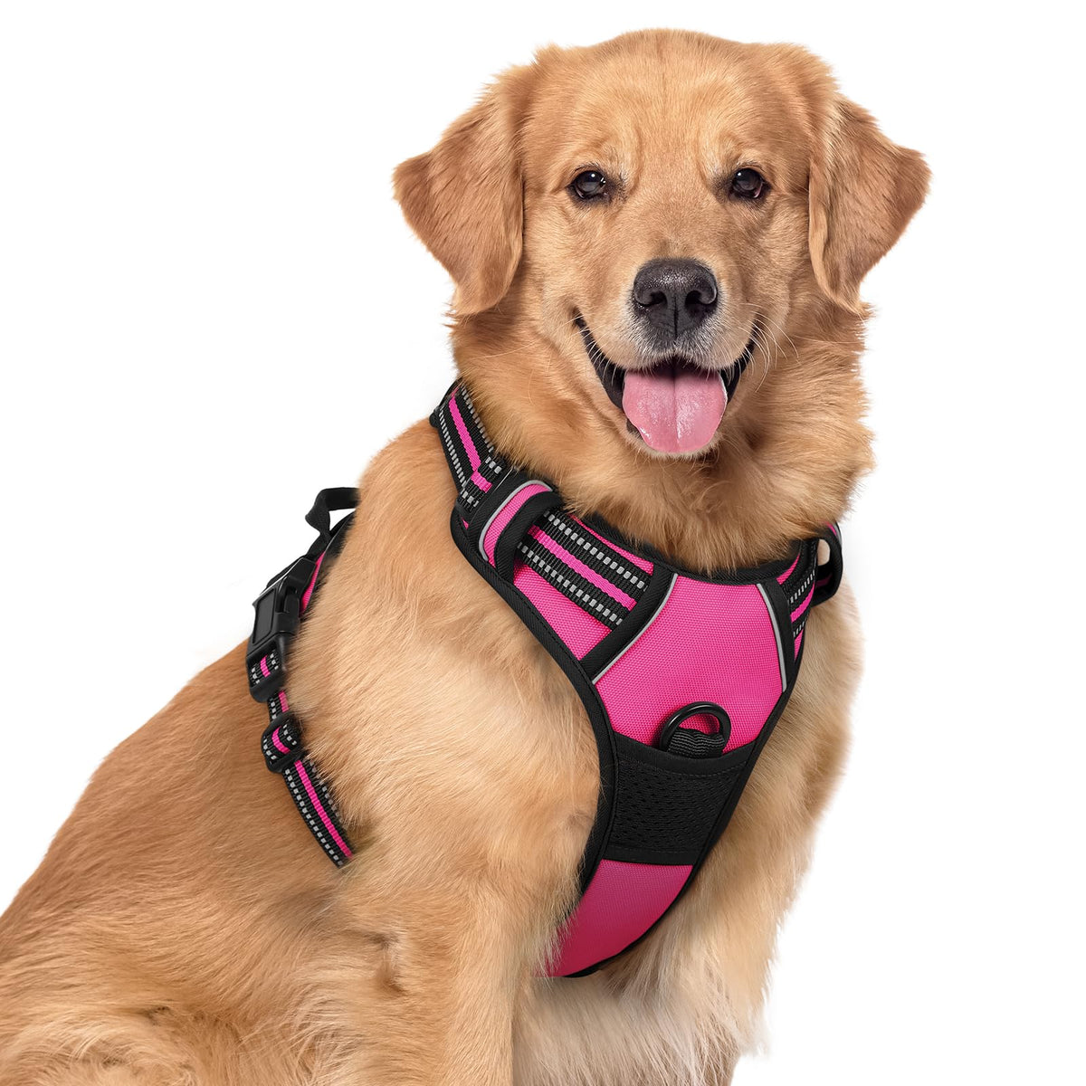 Rabbitgoo harnais sans traction XL rose fluo, vue avant, idéal pour promenades calmes.