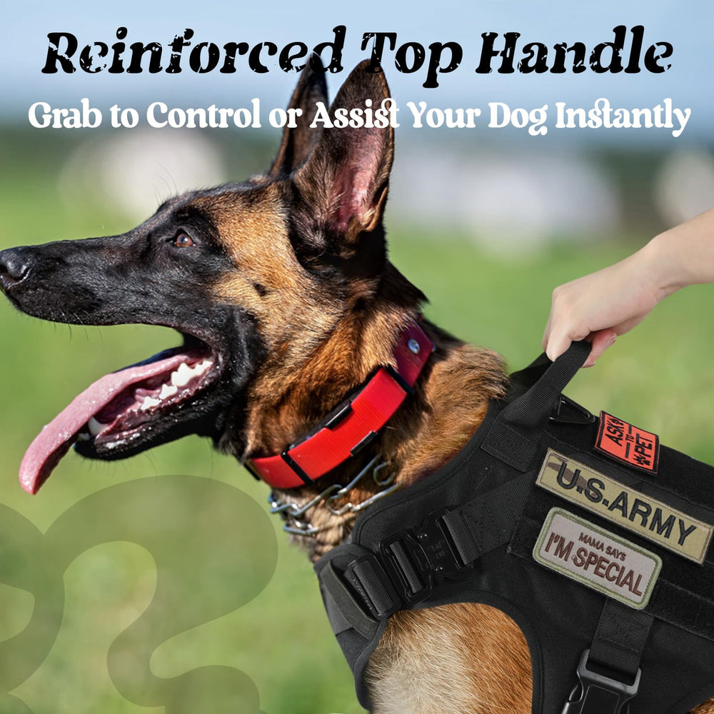 Harnais rabbitgoo-harnais-chien-systeme-molle, espace pour accessoires et gourdes.