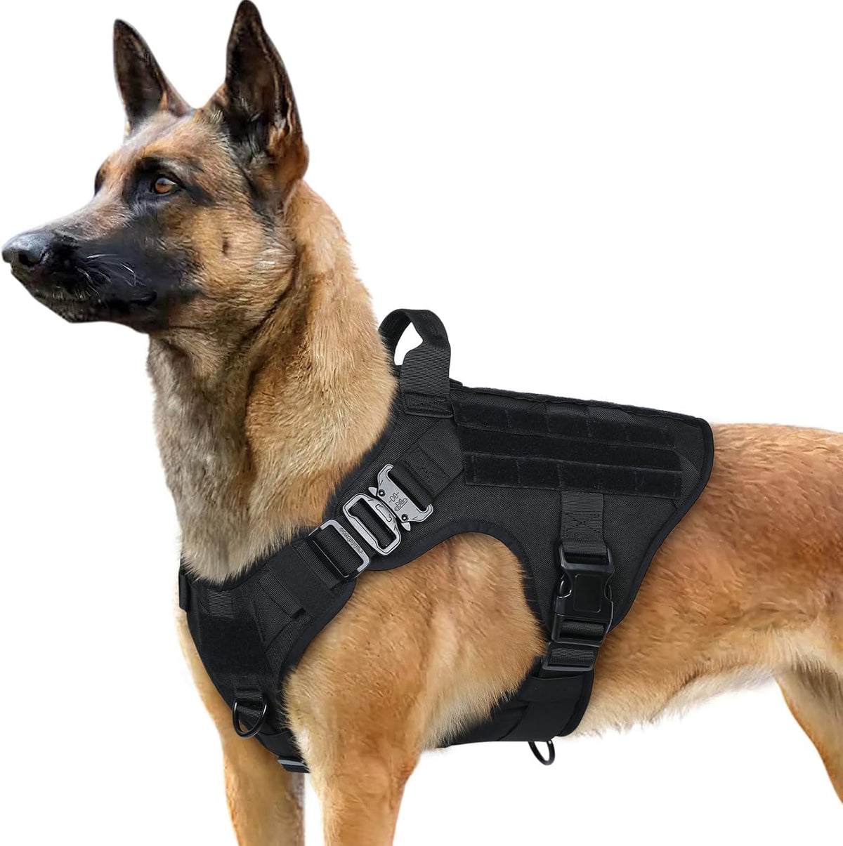 Harnais rabbitgoo-tactique-grand pour chien de grande taille, confort et stabilité.