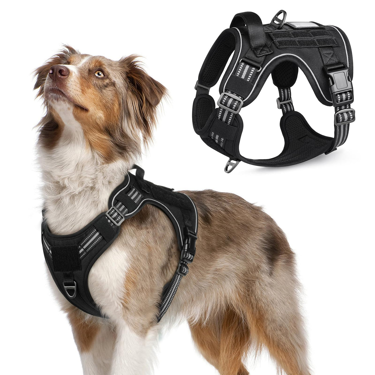 rabbitgoo harnais tactique pour chien moyen, vue avant, ajustement confortable et sûr