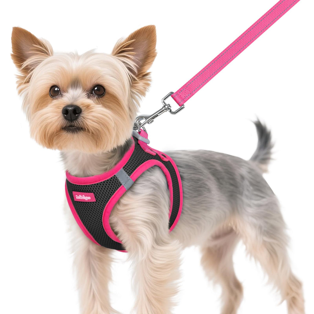 Rabbitgoo harnais chien XS: mise en place rapide pour promenade sans effort.