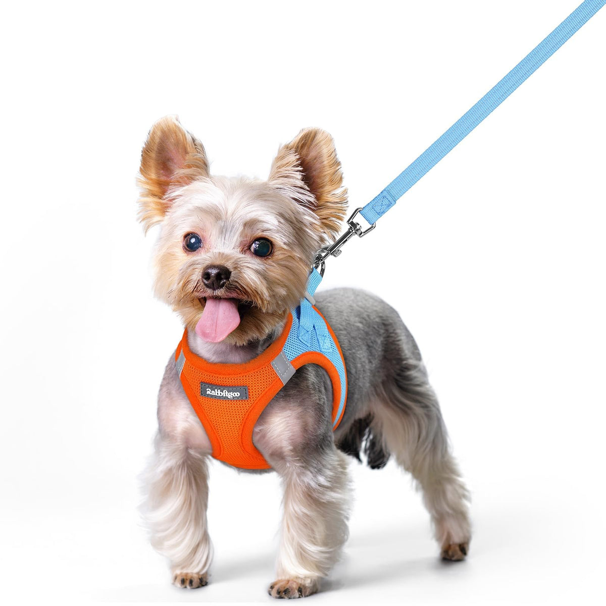 Harnais Rabbitgoo XS pour chien, vue avant, confort et sécurité lors des promenades.