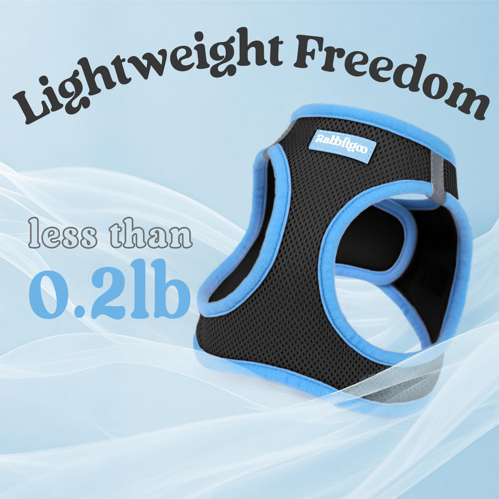 Harnais Rabbitgoo XS noir et bleu clair avec éléments réfléchissants visibles.