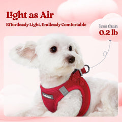Harnais Rabbitgoo XS rouge, maille respirante pour confort.