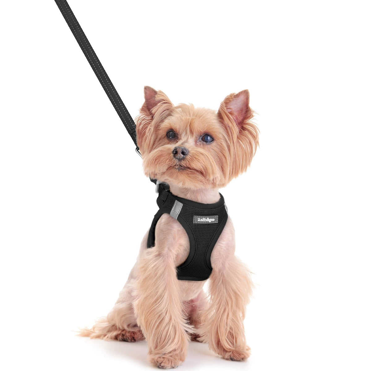 Harnais Rabbitgoo XXS à enfiler pour chien, facilité d’utilisation.