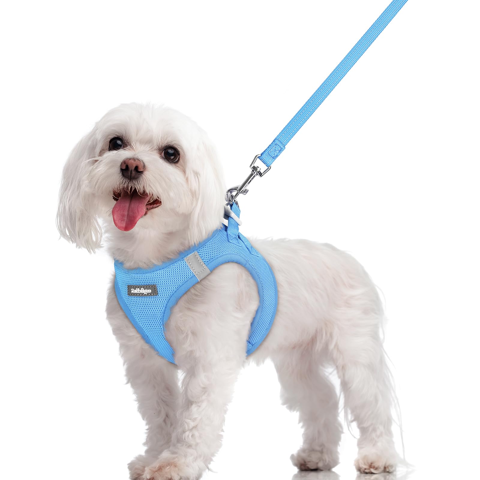 rabbitgoo harnais étape-dans pour petit chien bleu, pratique pour les balades quotidiennes