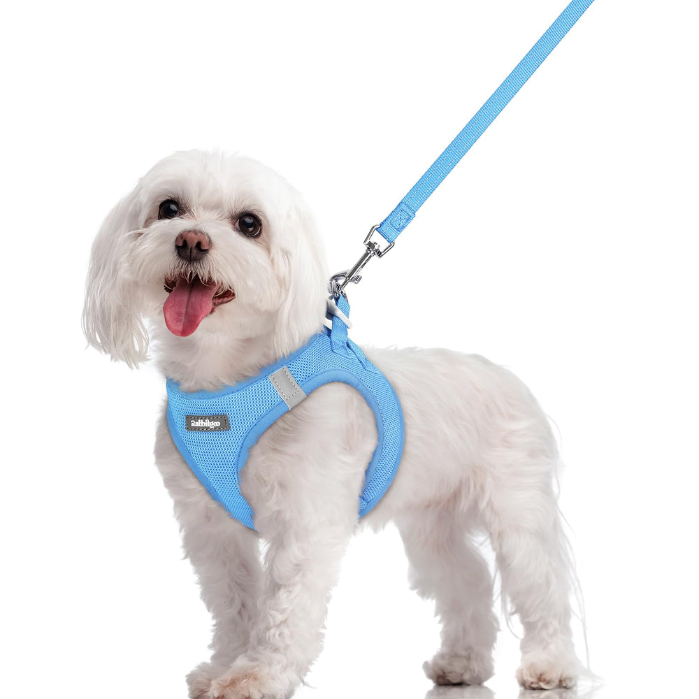 rabbitgoo harnais étape-dans pour petit chien bleu, pratique pour les balades quotidiennes