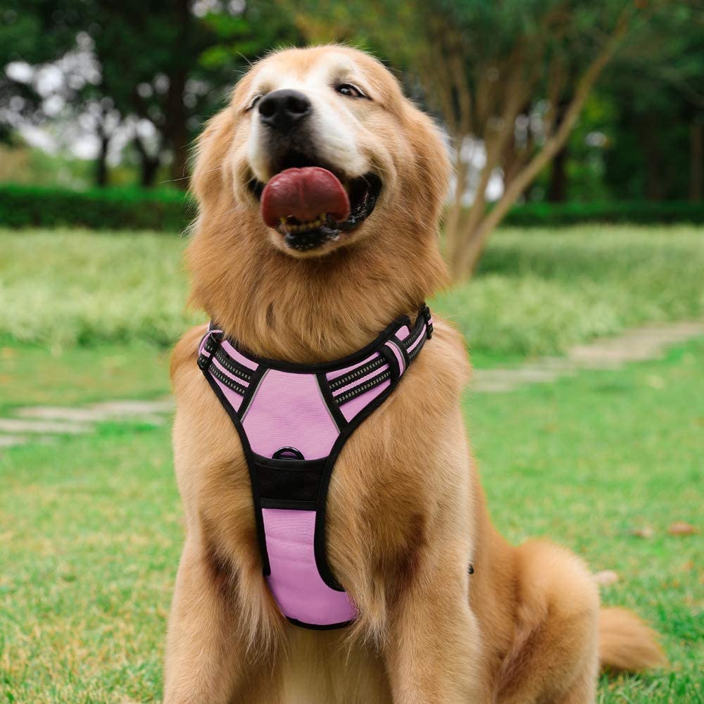 rabbitgoo harnais grande taille rose pour chien robuste et confortable