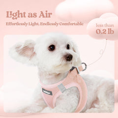 Harnais Rabbitgoo maillage respirant rose, ventilation optimale pendant les promenades