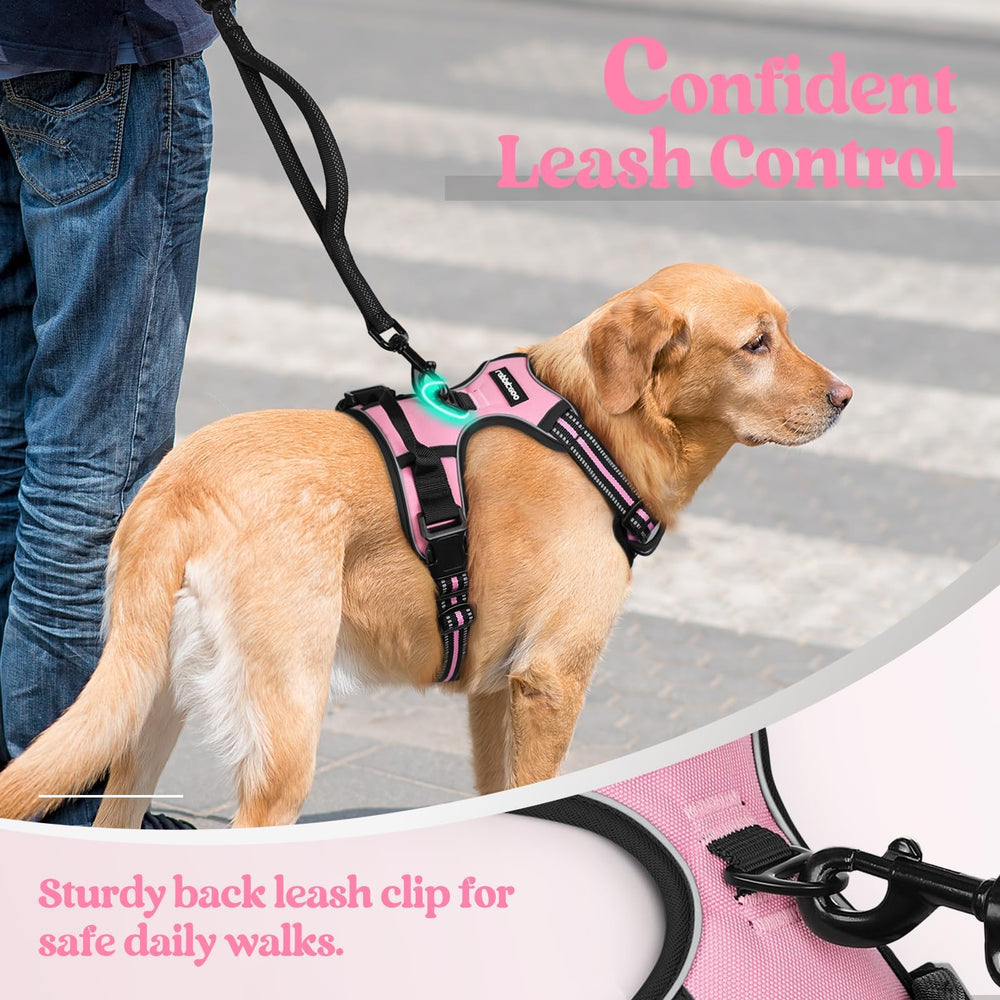 Harnais Rabbitgoo avec maille aérée pour garder votre chien au frais.