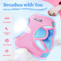 Harnais en mesh respirant Rabbitgoo bleu pâle, confort thermique optimal lors des sorties.