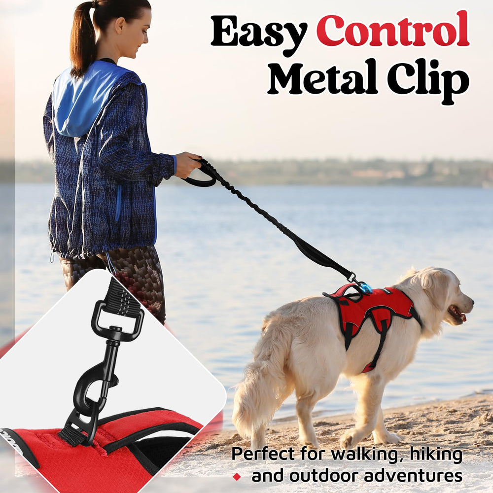 Harnais Rabbitgoo avec mousqueton et clip, fixation fiable en toutes conditions.
