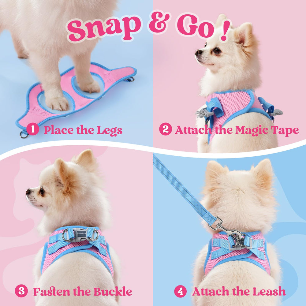 Rabbitgoo harnais petit chien bleu clair: tenue coordonnée et chic.