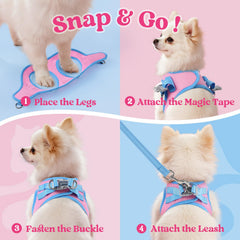 Rabbitgoo harnais petit chien bleu clair: tenue coordonnée et chic.