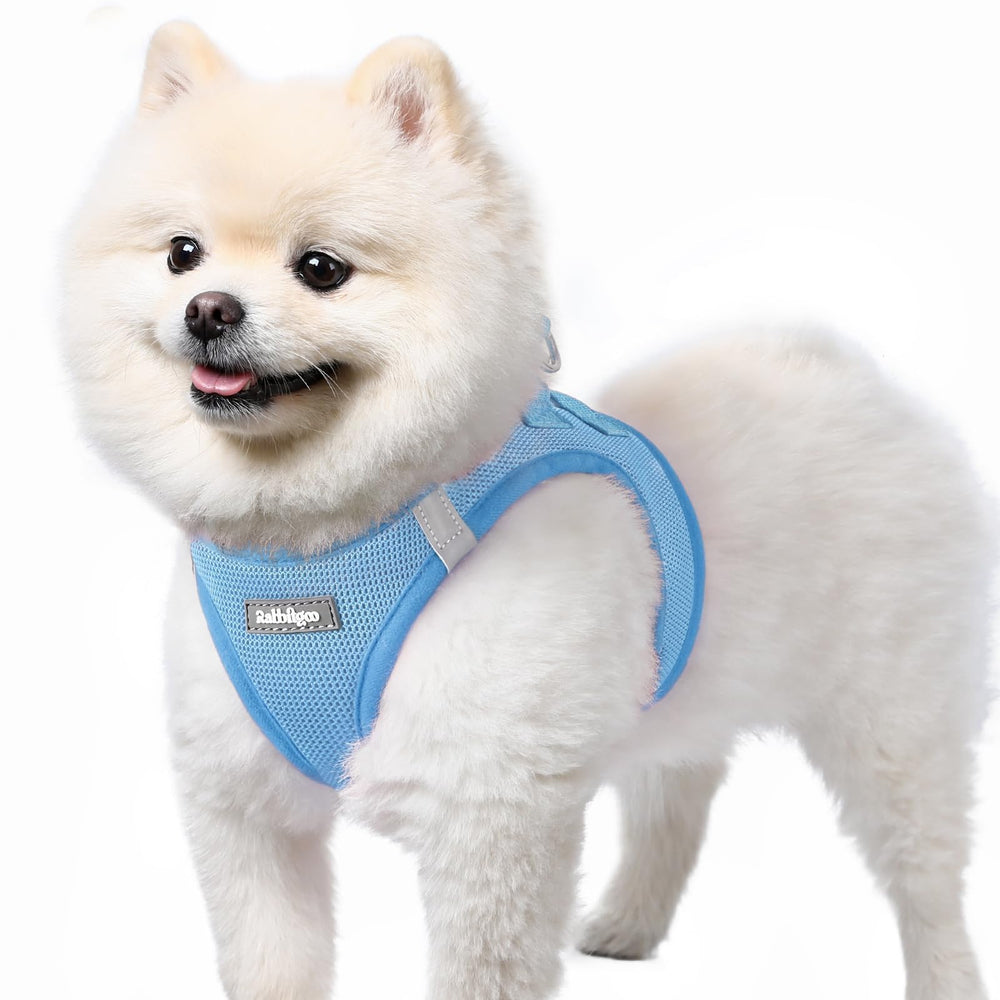 Harnais Rabbitgoo bleu pour petit chien enfilage rapide et pratique.