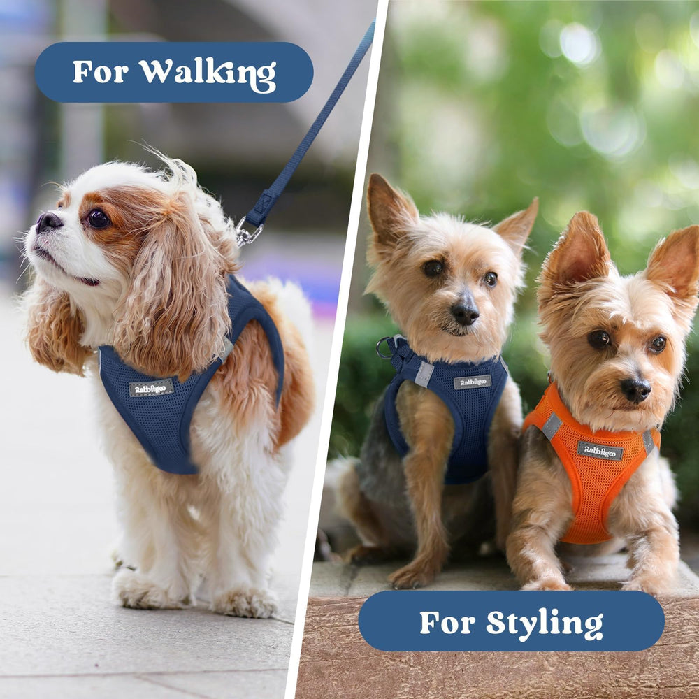 Harnais rabbitgoo-coloris-navy-blue-xs, option esthétique pour petit chien.