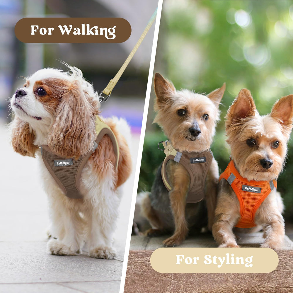 Couleurs vives du harnais Rabbitgoo pour personnaliser le look de votre chien.