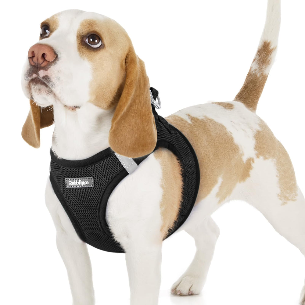 Harnais rabbitgoo pour petit chien en maille souple, confort quotidien