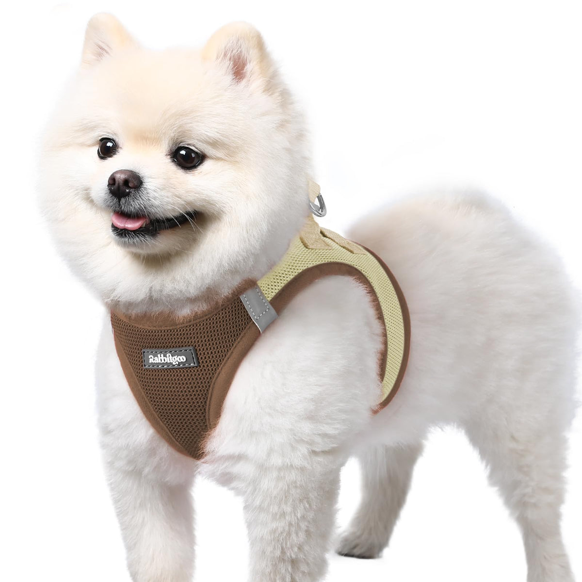 Harnais Rabbitgoo pour petit chien en maille aérée, confort durable pendant les promenades.