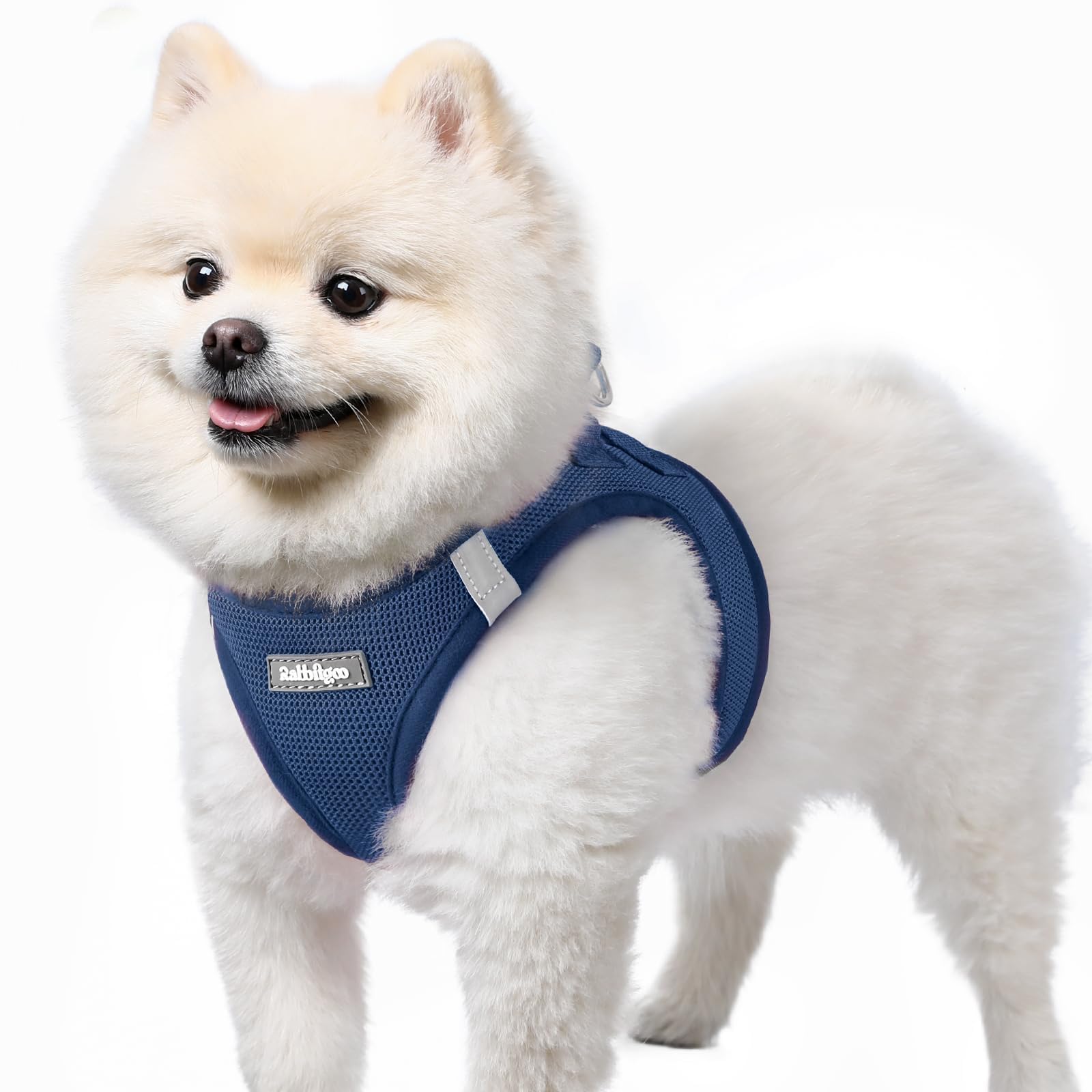 Harnais Rabbitgoo pour petit chien en mesh doux, confort lors des sorties.