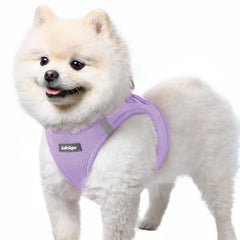 Harnais rabbitgoo pour petit chien en mesh respirant, confort lors des sorties