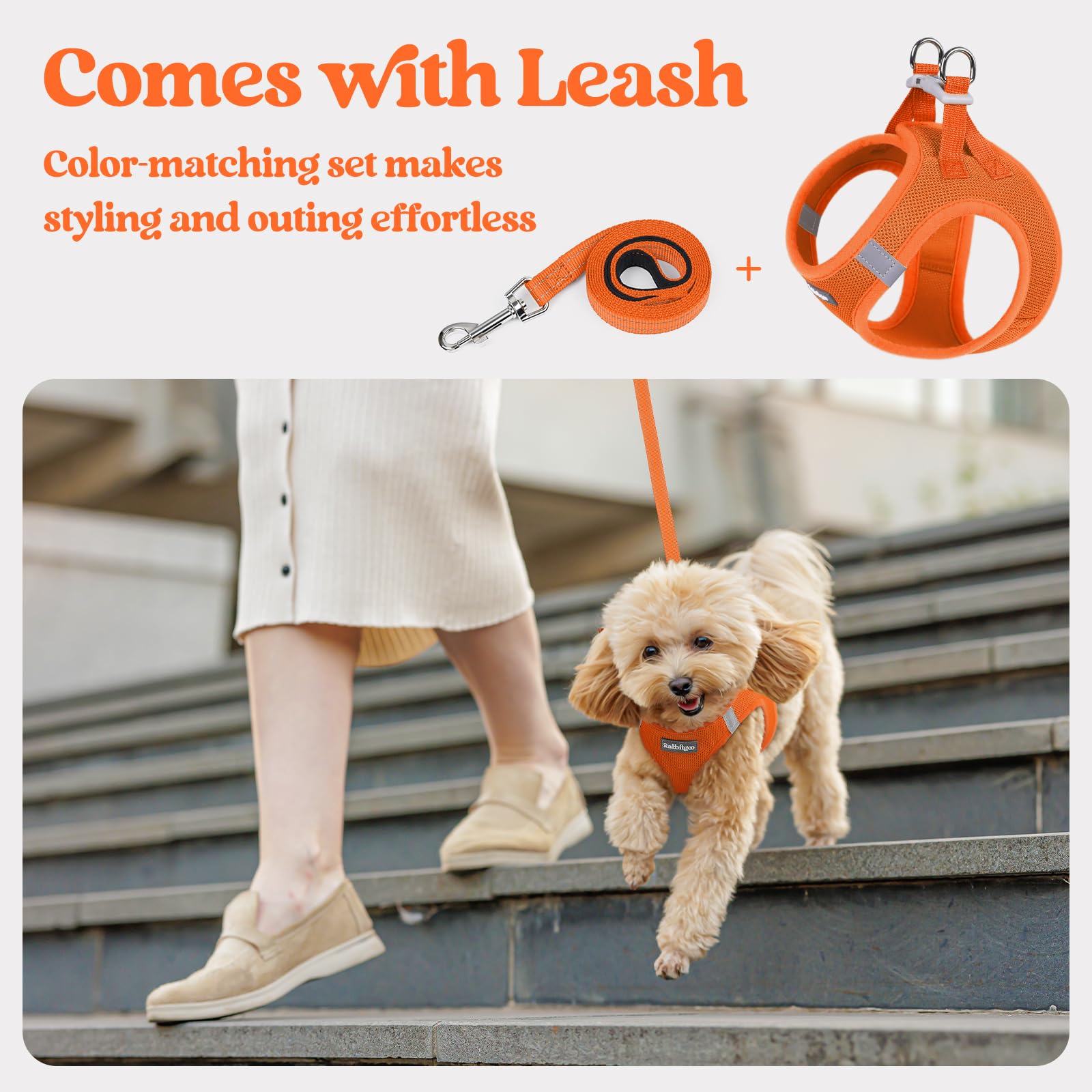Harnais Rabbitgoo orange, boucle sécurisée et velcro pour ajustement fiable