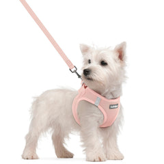 Harnais Rabbitgoo petit-chien rose doux pour balades confortables et faciles