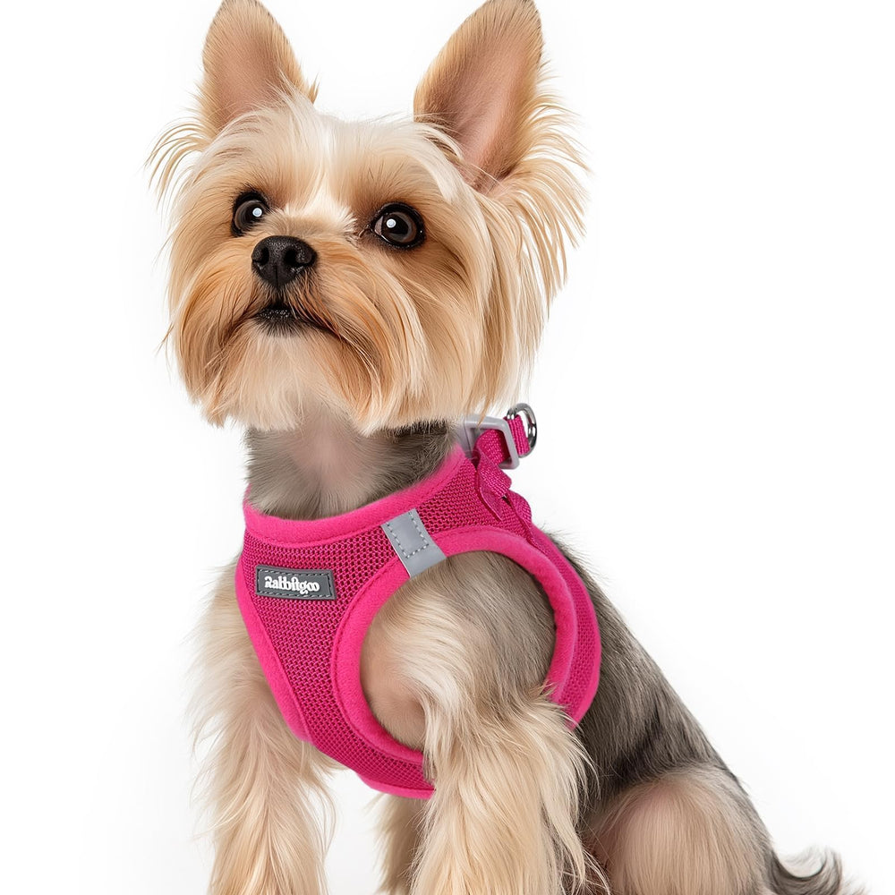 Harnais rabbitgoo pour petit chien rose en mesh respirant, parfait pour les promenades quotidiennes.