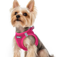 Harnais rabbitgoo pour petit chien rose en mesh respirant, parfait pour les promenades quotidiennes.