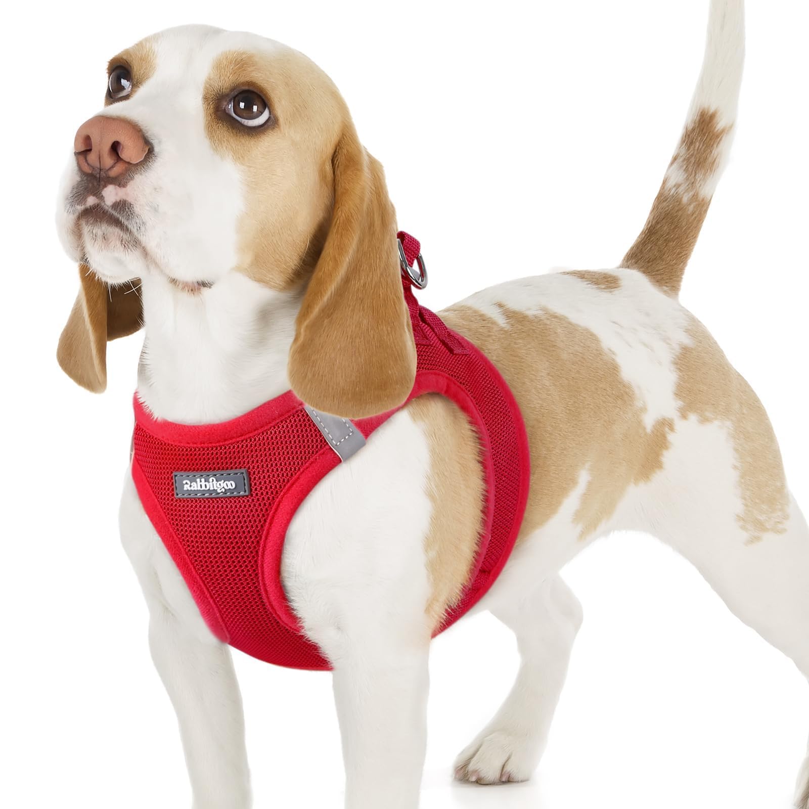 Harnais Rabbitgoo M rouge, vue face, enfilage facile et confort lors des promenades.