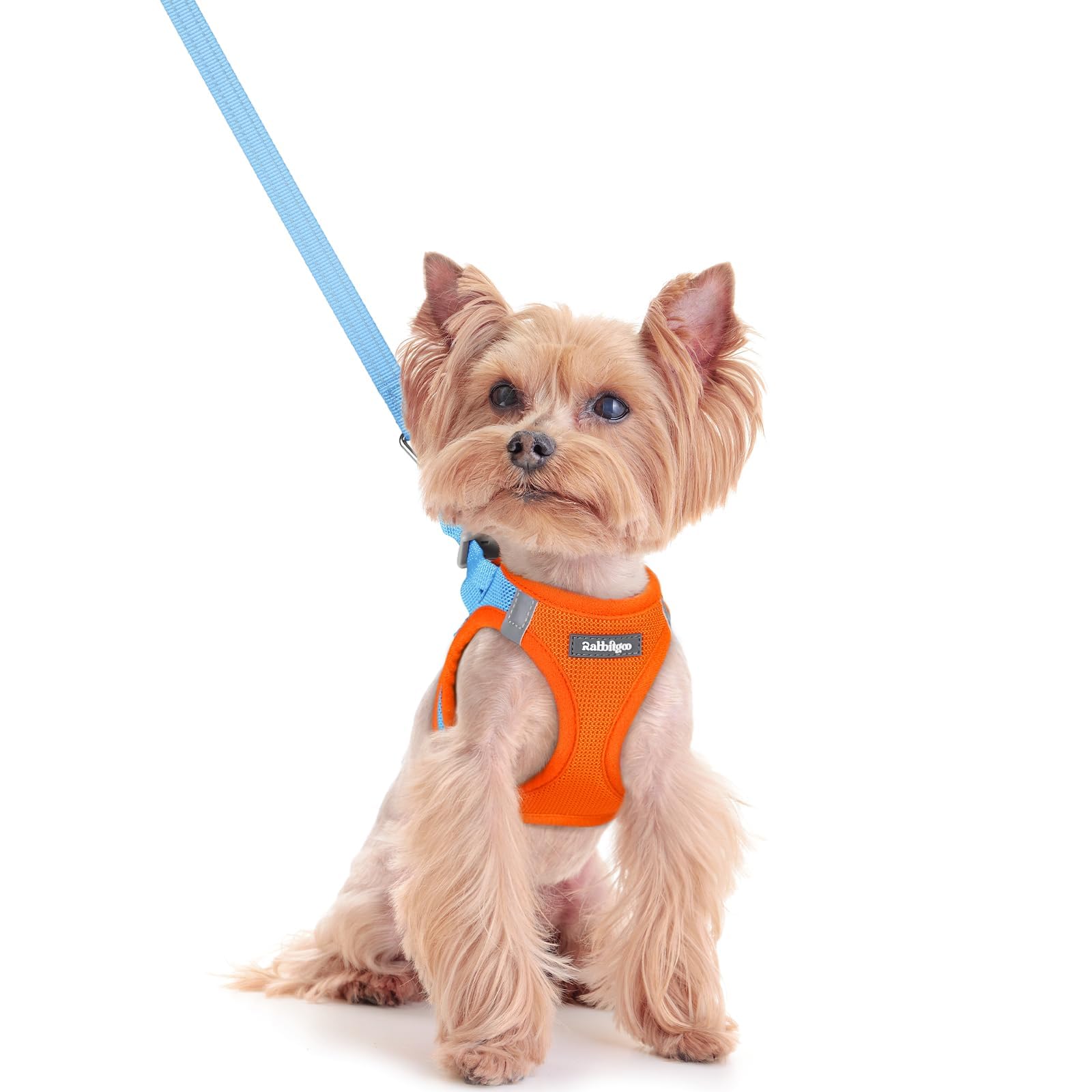 Rabbitgoo harnais d enfilage facile pour petit chien bleu XXS, enfilage rapide et confortable.