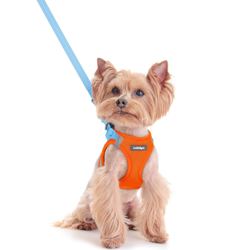 Rabbitgoo harnais d enfilage facile pour petit chien bleu XXS, enfilage rapide et confortable.