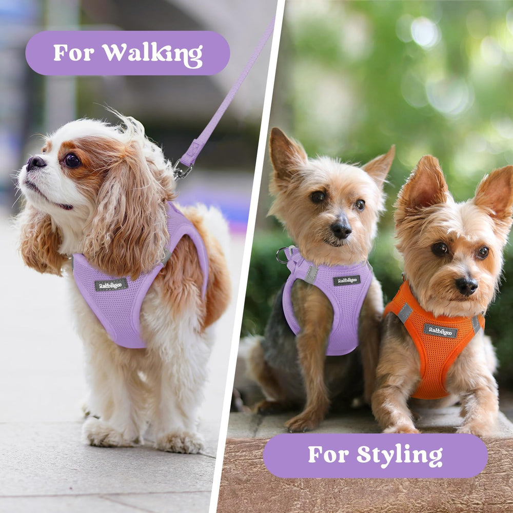 Harnais rabbitgoo usage quotidien, parfait pour promenades