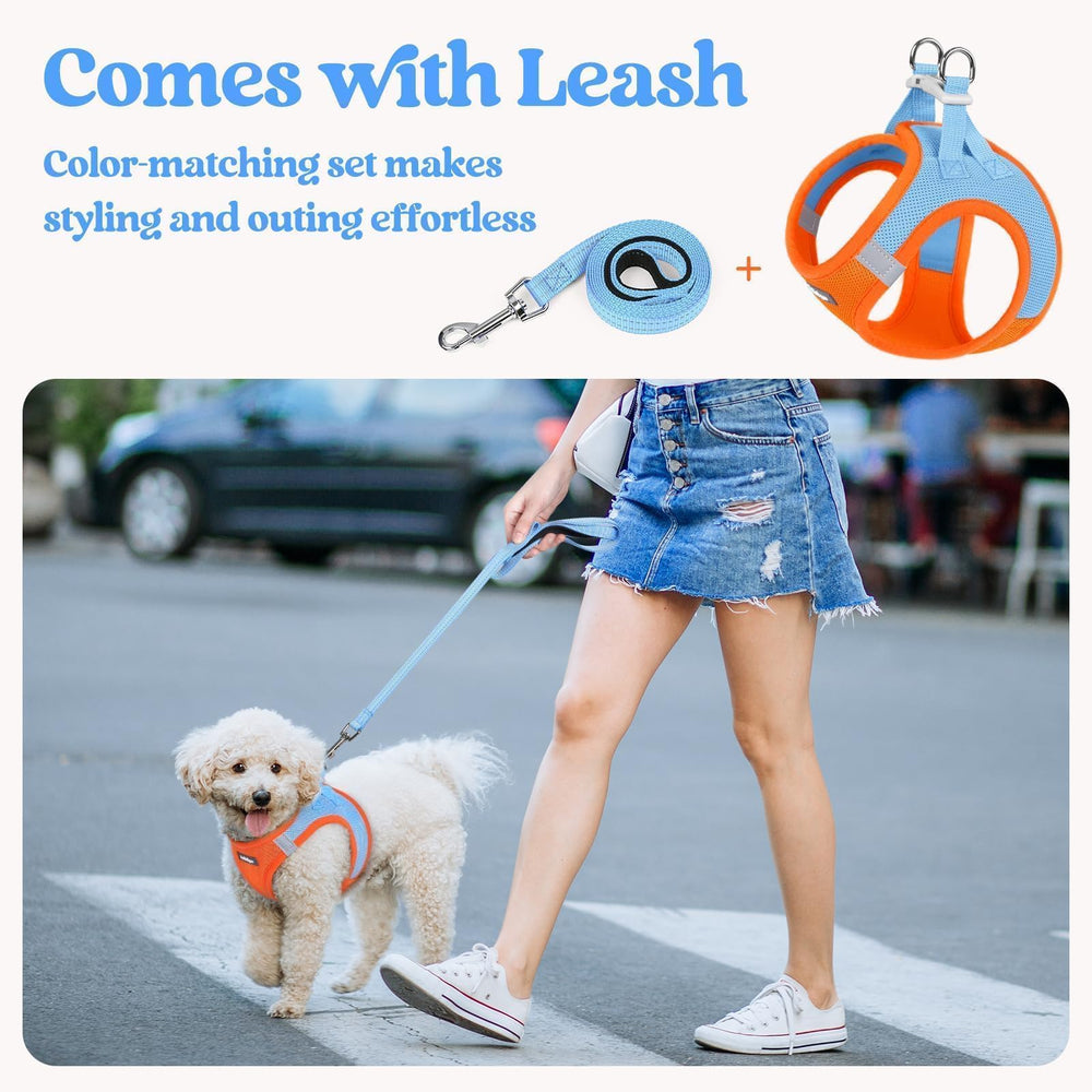 Harnais Rabbitgoo Taille S pour petits chiens, ajustement et confort optimaux