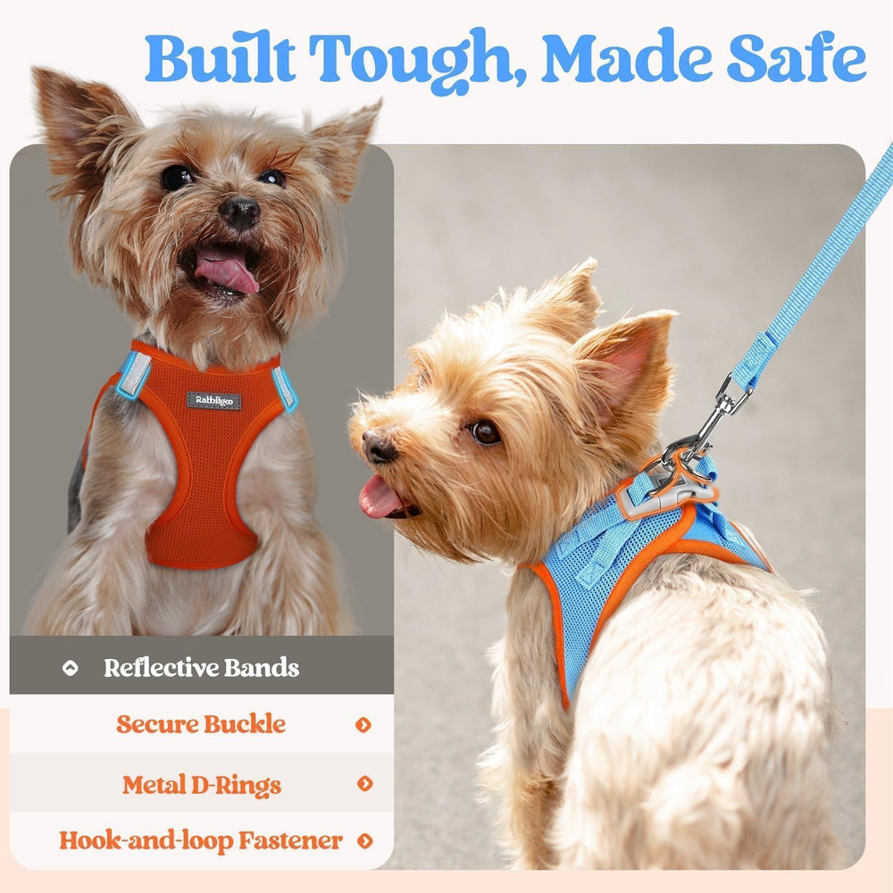 Bandes réfléchissantes rabbitgoo sur harnais pour visibilité accrue lors des sorties.