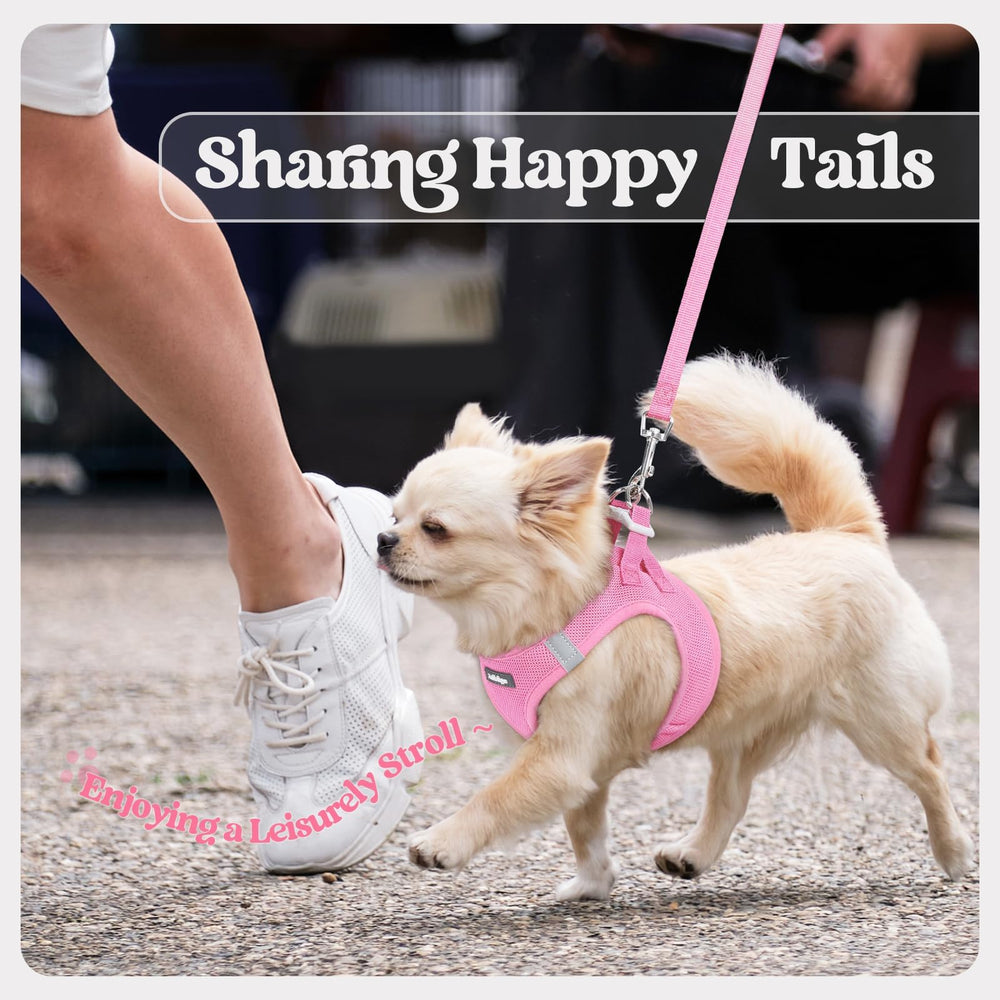 Harnais Rabbitgoo rose clair pour petit chien, style et visibilité.