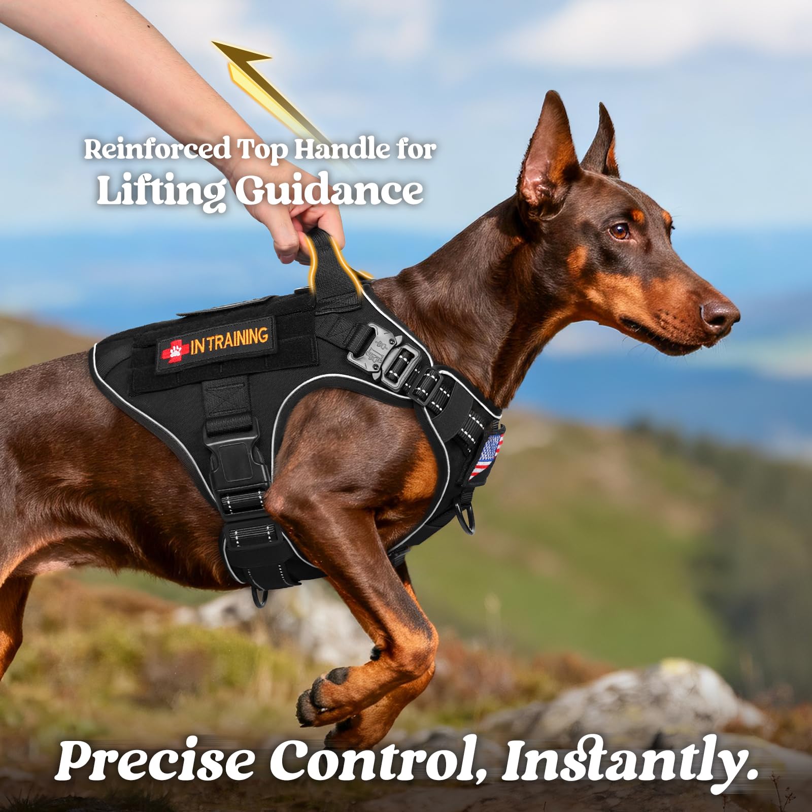 rabbitgoo harnais tactique grand chien – vue côté gauche, sangles ajustables visibles