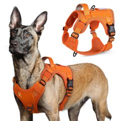 Harnais Rabbitgoo pour chien grand – poitrine ajustable et confort lors des sorties